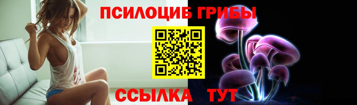 Псилоцибиновые грибы Psilocybe Уссурийск